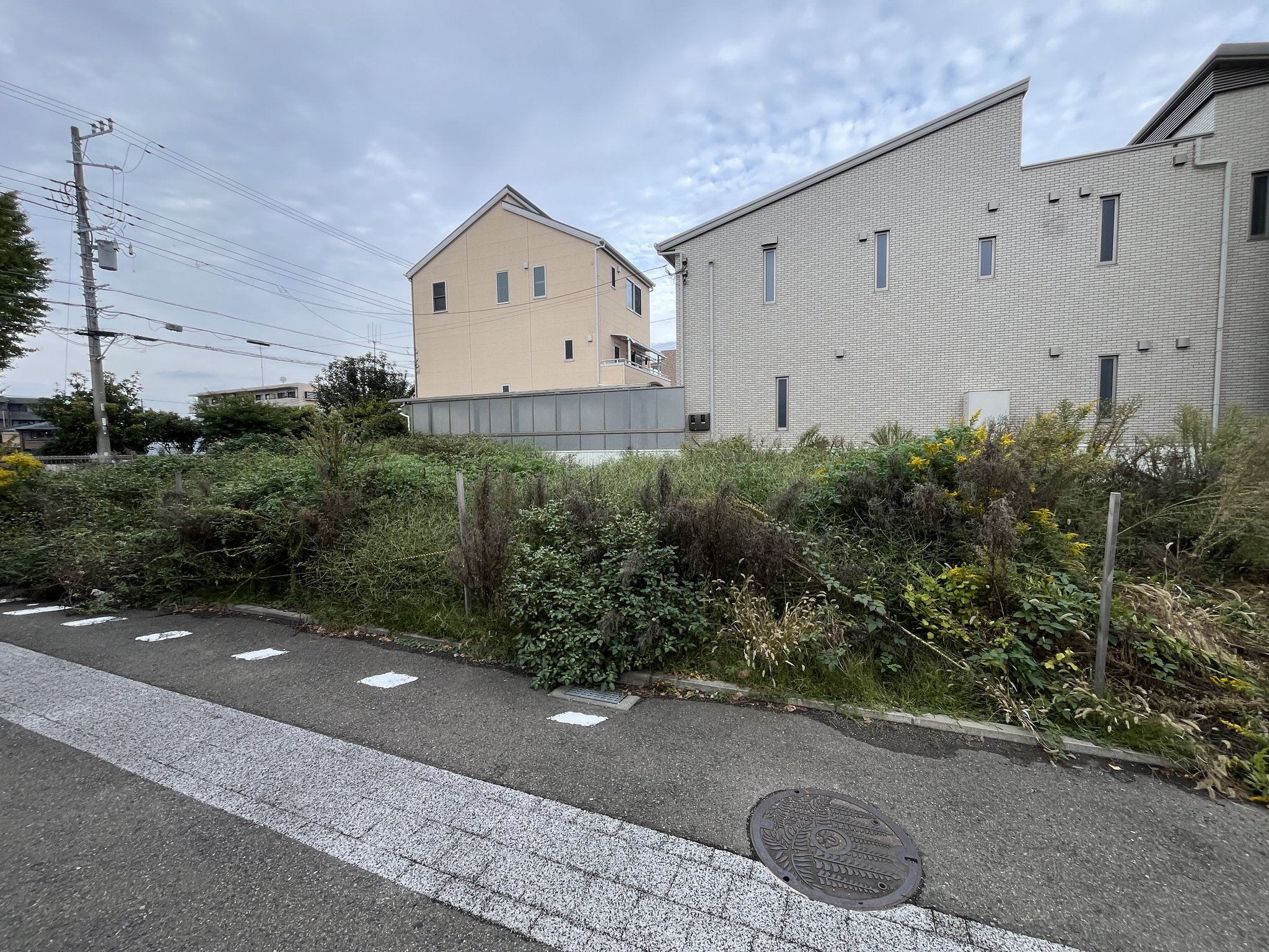 草刈り前の敷地